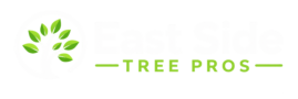 east side tree pros – tree removal & tree service in east dekalb