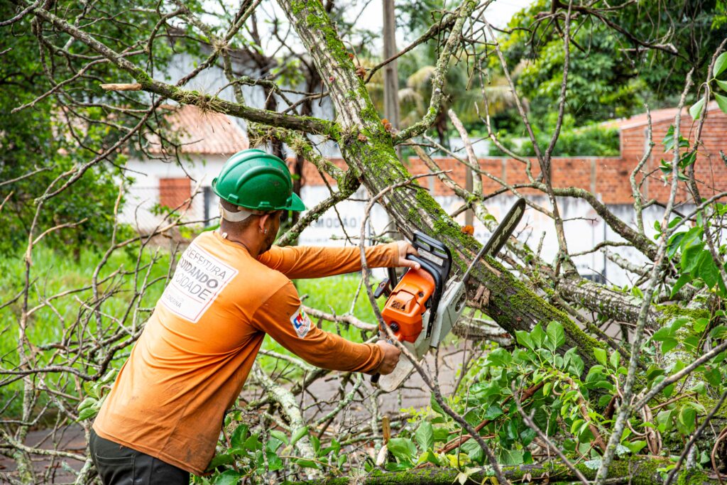 Tree trimming service professional cutting branches in Stonecrest GA