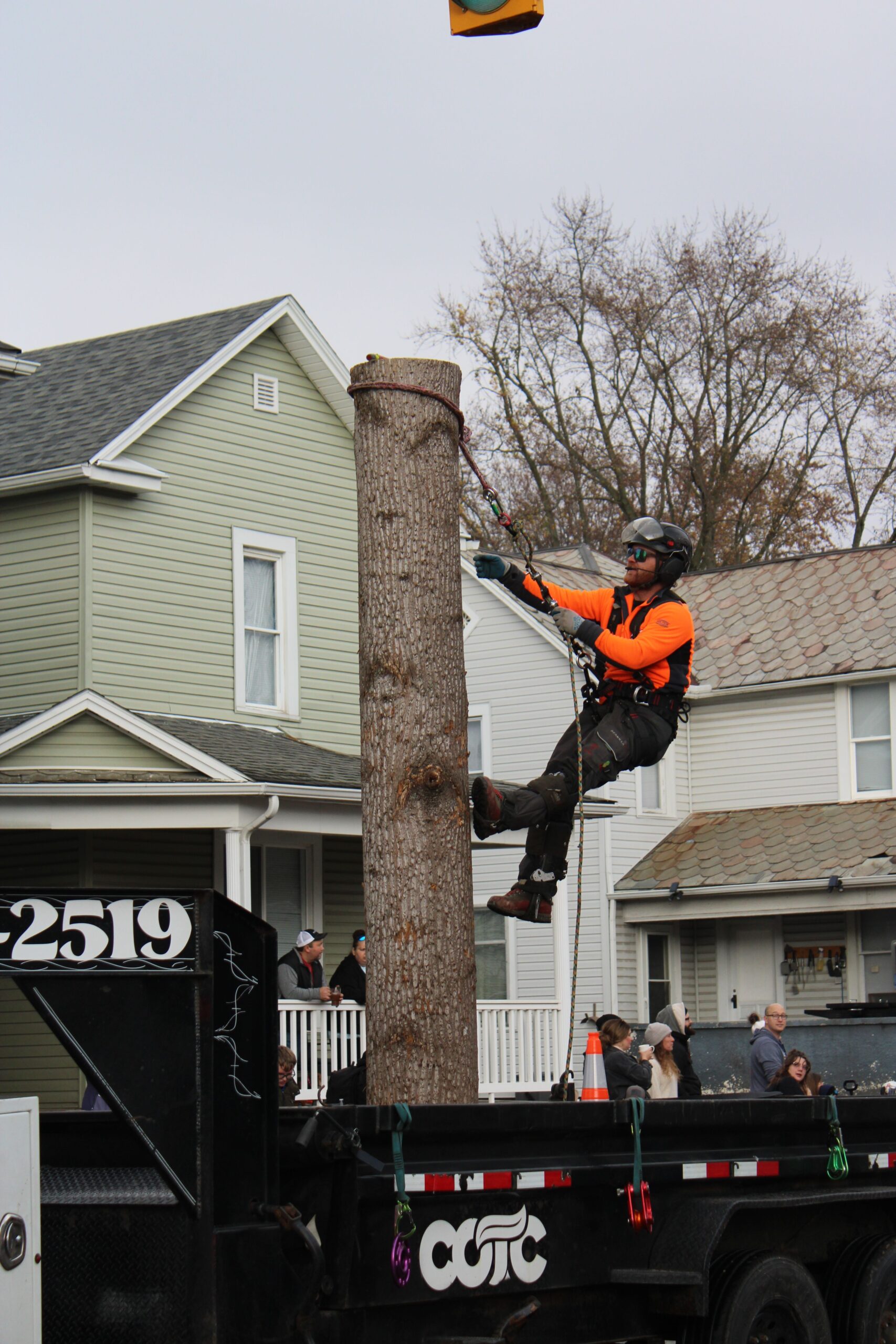 East Side Tree Pros, GA